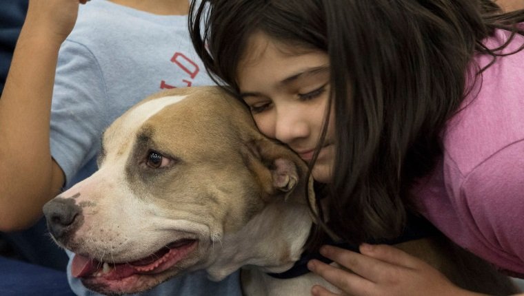 HOUSTON, 10. November 2019 -- Ein Mädchen umarmt ihren neuen Hund, während ihre Familie bei der Mega Adoption-Veranstaltung in Houston, Texas, USA, am 10. November 2019 die Adoption beantragt. Die Mega-Adoption-Veranstaltung begann in Houston am Wochenende. Mindestens 10 Tierheime im Großraum Houston brachten mehr als 1.000 Hunde und Katzen zu der Veranstaltung, um für sie ein Zuhause für immer zu finden. 