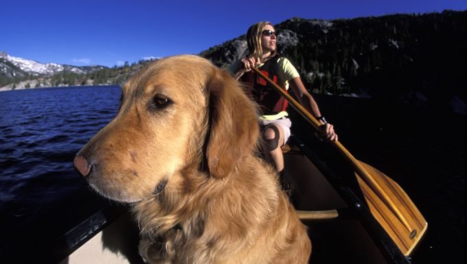 Hund mit Mensch im Kanu can