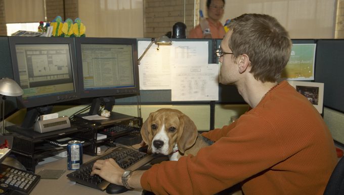Hundesitting am Computer mit Besitzer