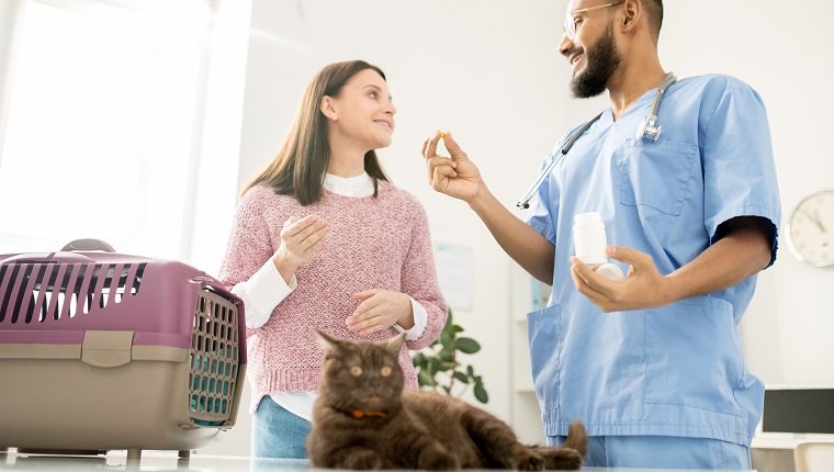 Junger Tierarzt, der den Besitzer eines kranken Haustiers berät und Vitamine oder Aspirin für die Gesundheit zeigt