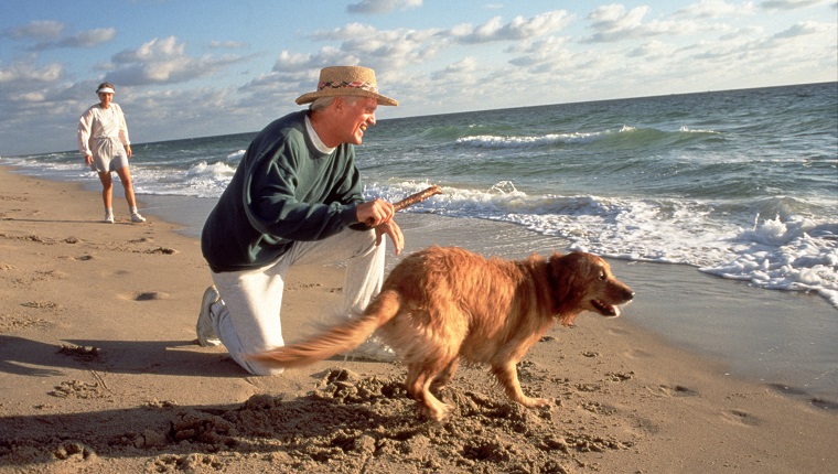 älterer Mann spielt mit Hund am Strand holen