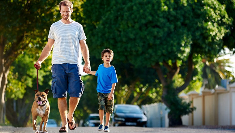 Ein Vater, der mit seinem Hund und seinem Sohn in der Vorstadt spazieren geht