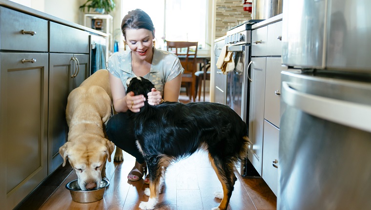 Frau füttert und streichelt Hunde in der heimischen Küche