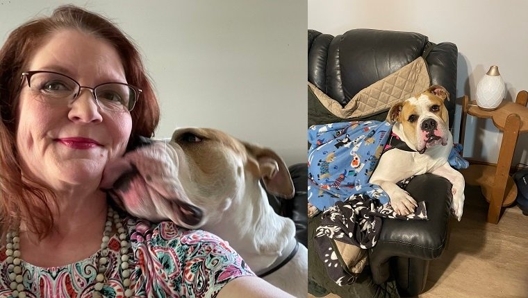 Helfen Sie dieser süßen amerikanischen Bulldogge, die Operation zu bekommen, die sie braucht: Treffen Sie Harley und ihre Pflegemutter Christine