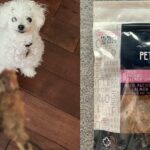 DogTime Review: Wird 'Pet Craft Supply Co.' Sind dehydrierte Lachs-Leckereien der neue Lieblingssnack meines Hundes?