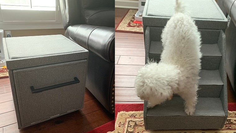 DogTime Review: Können die 'PetFusion Hybrid Foldaway Dog Stairs' einem älteren Hund helfen, stilvoll auf und ab zu kommen?