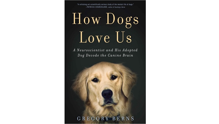 Buchcover Wie Hunde uns lieben