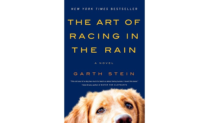 Buchcover The Art of Racing in the Rain
