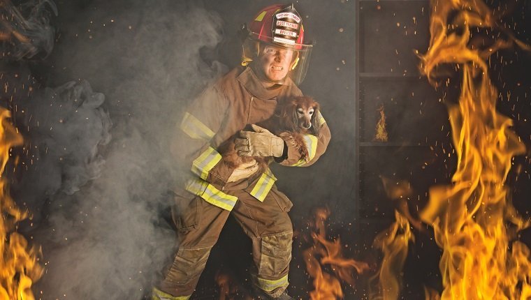 Ein Feuerwehrmann rettet einen kleinen Hund aus einem Feuer.
