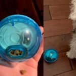 DogTime Review: Wird der "OurPets IQ Treat Ball" die Essenszeit für meinen älteren Hund zum Spaß machen?