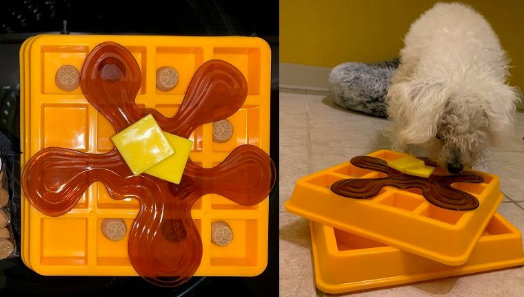 DogTime Review: Wird ein Hund, der kein Spielzeug liebt, das interaktive Puzzle-Hundespielzeug OurPets Waffel genießen?