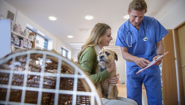 Tierarzt im Gespräch mit Frau mit Hund im tierärztlichen Wartezimmer