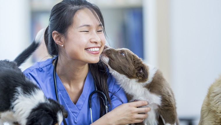 Sprechen Sie mit Ihrem Tierarzt