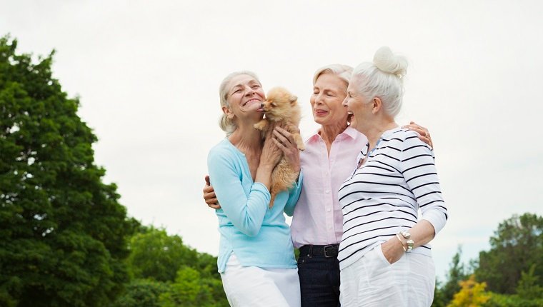 Ältere Frauen, die Hund im Park halten