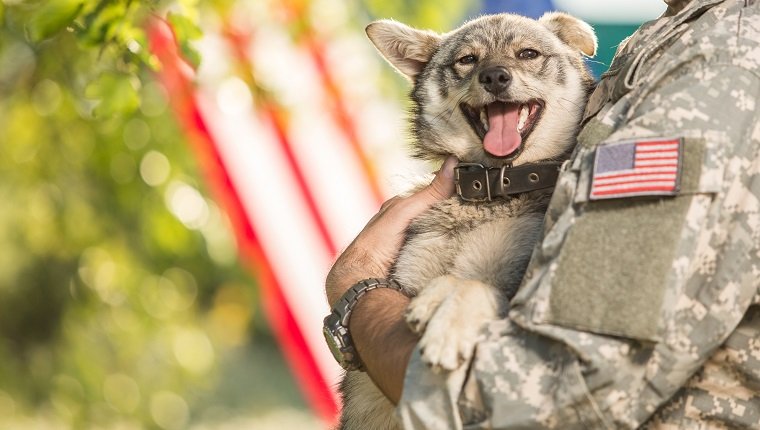 Soldier with his dog outdoors on a sunny day with american flag on the background