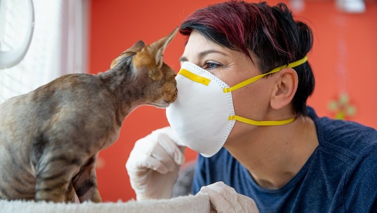 Mitte erwachsener weiblicher Haustierbesitzer, der ihre Katze während der Coronavirus-Pandemie mit Schutzmaske küsst.