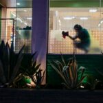 West Hollywood, CA, Wednesday, November 25, 2020 - A worker cleans windows at the Healthy Spot pet spa hours before Covid restrictions require restaurants close at 10 pm, leaving the usually bustling Santa Monica Blvd., less populated.