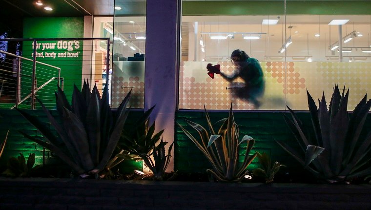 West Hollywood, CA, Wednesday, November 25, 2020 - A worker cleans windows at the Healthy Spot pet spa hours before Covid restrictions require restaurants close at 10 pm, leaving the usually bustling Santa Monica Blvd., less populated.