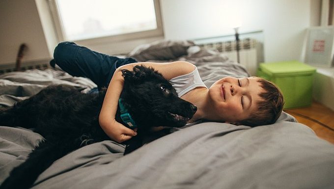 Geben Sie Ihrem Hund ein 'duftintensives' Bett