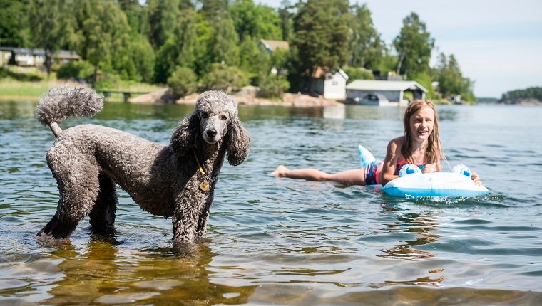 Lächelndes Mädchen im See mit Hund