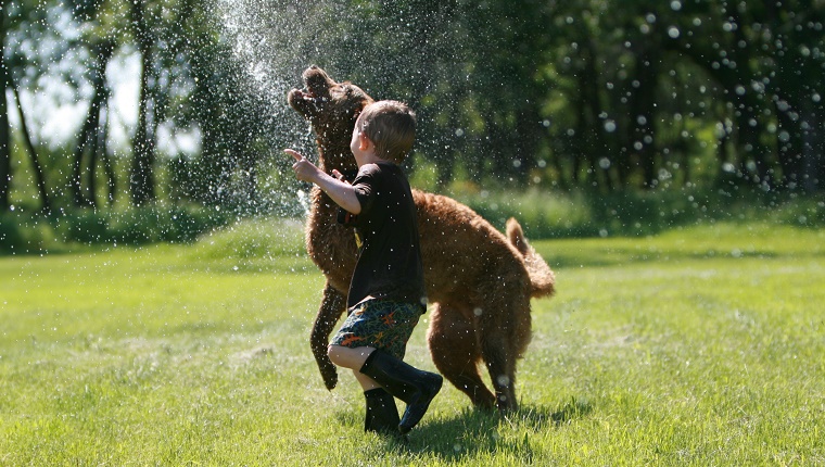 Junge und Hund laufen durch Sprinkler