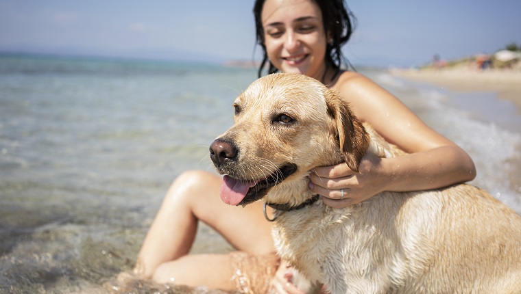 Junge Frau hat Spaß mit ihrem Hund am Strand