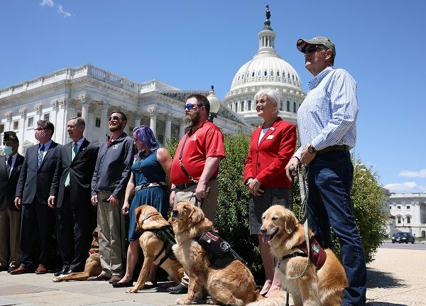 WASHINGTON, DC - MAY 13: Military service dogs and their handlers with K9s for Warriors pose for a photo after press conference for H.R. 1448, Puppies Assisting Wounded Service Members (PAWS) for Veterans Therapy Act outside the U.S. Capitol Building on May 13, 2021 in Washington, DC. The legislation was drafted to help start a program to promote the use of service dogs as a form of therapy for military veterans.