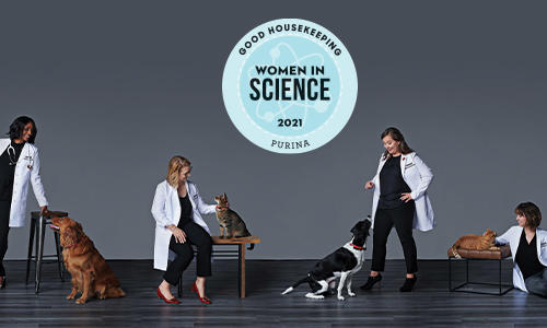 Treffen Sie die herausragenden Wissenschaftler, die die Gesundheit Ihres Haustieres verbessern