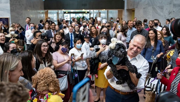 WASHINGTON, DC - OCTOBER 27: Sen. Thom Tillis (R-NC) holds up his dog Mitch, dressed as Mitch McConnell, during his annual Halloween dog parade in the Hart Senate Office Building on Capitol Hill October 27, 2021 in Washington, DC. Tillis organized the first Halloween dog party in 2017.