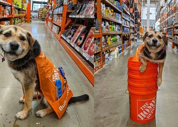 Heaven in Home Depot apron