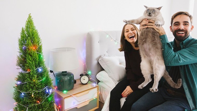 Mit einer anderen Katze auf der Weihnachtsfeier rumhängen