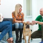 Owners Sitting In Vets Reception Area. Make new years resolutions to visit the vet more.