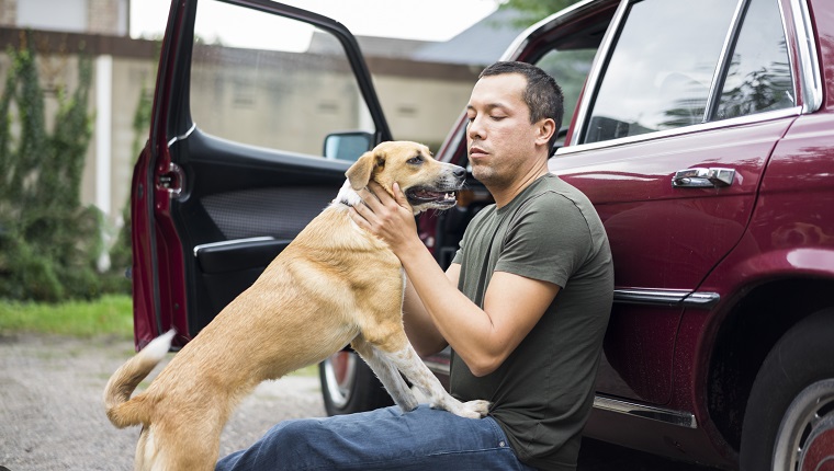 Mann sitzt neben Auto und spielt mit Hund