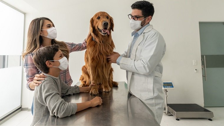 Happy Latin American family wearing facemasks while taking their dog to the vet during the COVID-19 pandemic
