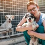 Young adult woman working and playing with dogs in animal shelter