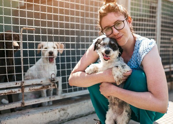 Young adult woman working and playing with dogs in animal shelter