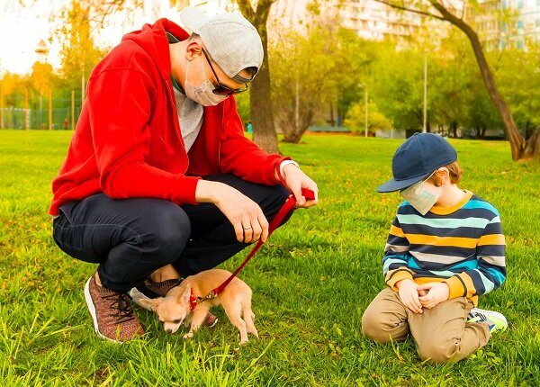 Young caucasian father and son in medical protective masks stay in park at sunny day on grass. Dad and child boy walk and play with the cute little puppy dog chihuahua