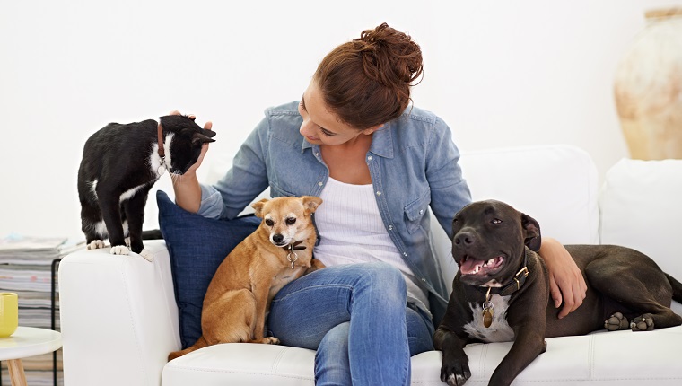Aufnahme einer schönen jungen Frau, die sich mit ihrem Hund und ihrer Katze auf der Couch entspannt