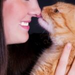 Warum leckt meine Katze an meiner Nase – die wahre Bedeutung!