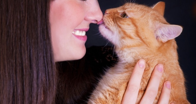 Warum leckt meine Katze an meiner Nase – die wahre Bedeutung!