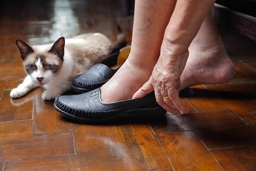 Warum sitzt meine Katze auf meinen Füßen – die wahre Bedeutung!