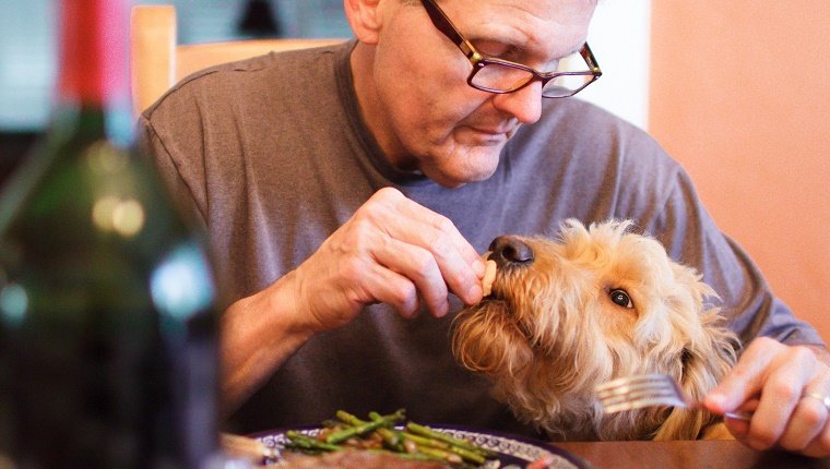 Senior füttert Hund vom Tisch