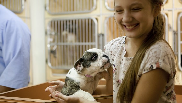 Im Tieradoptionszentrum hält ein süßes Mädchen einen Welpen zur Adoption bereit