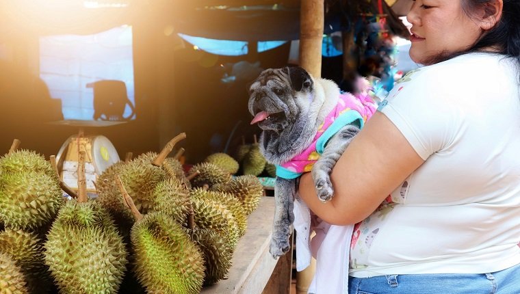 Midsection Of Woman With Dog Standing By Durians On Table