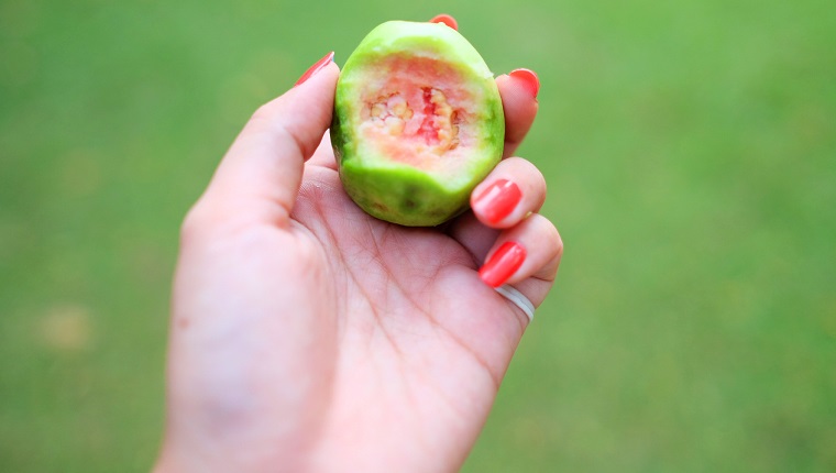 Zugeschnittenes Bild einer Frau mit Guave