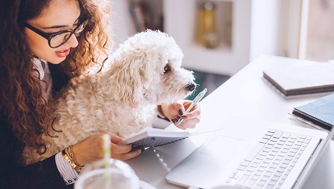 Frau mit Hund im Home Office