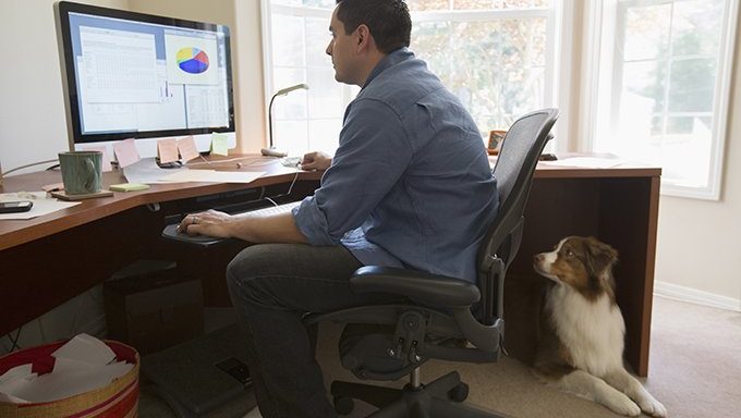 Hund beobachtet Mann bei der Arbeit am Computer
