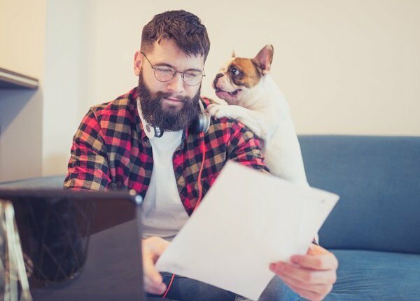 Handsome, hipster man sitting on the living room sofa with his dog, using laptop