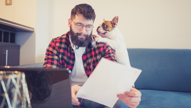 Schöner Hipster-Mann, der mit seinem Hund auf dem Sofa im Wohnzimmer sitzt und einen Laptop benutzt