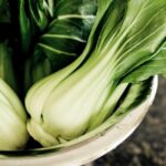 Fresh bok choy (chinese cabbage) in a collander.